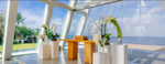 Conrad Bali | Ceremony Package - Harmony