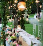 Clasic Wedding